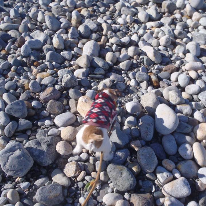 2bfec754 13a7 492b b37c 9490971b7fe8 1514117536801