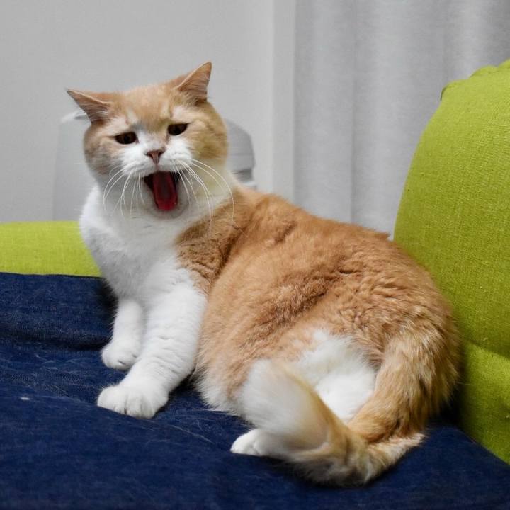 2bfeee53 a42e 49d4 9dec eb2342f27297 1775447111019