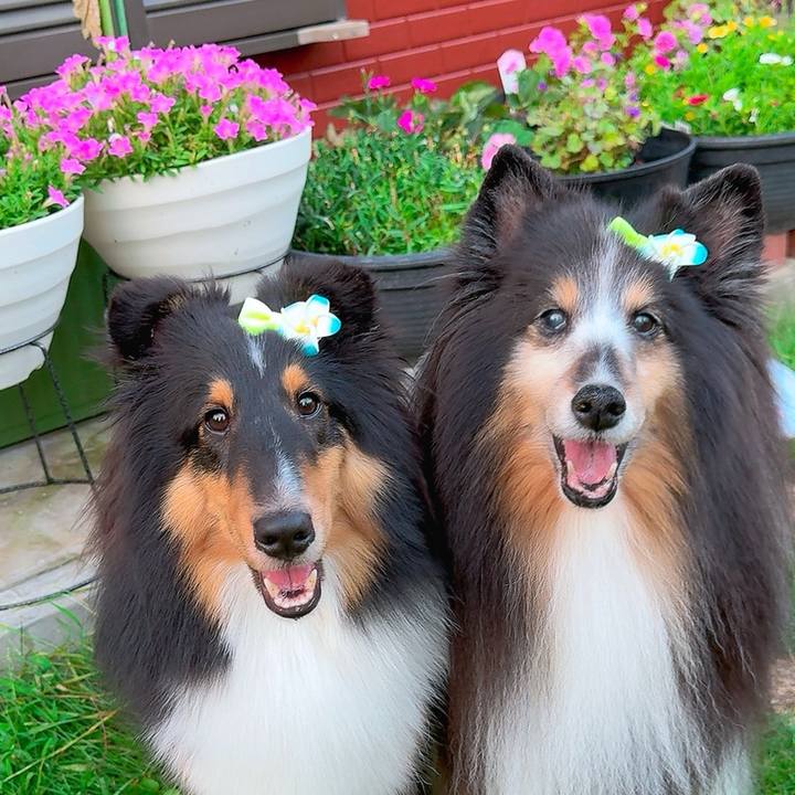 2bfef516 96f4 4b3b ad22 0a06fee0804e 1751481658848