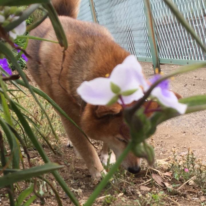 2bff5c46 2c55 44c2 9476 ea12c2ec4b18 1559353290177