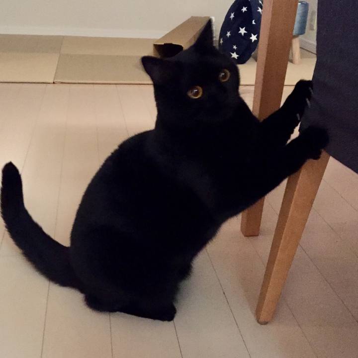 2bff5fe8 ce38 4e5e a9ca 0b99b4fe109d 1540810865833