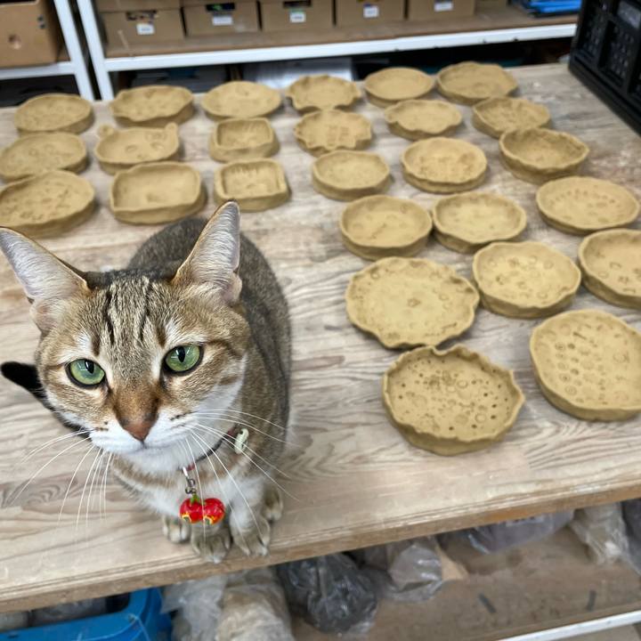 2bff796a 2334 4998 9926 4afd2d16304f 1676216308860