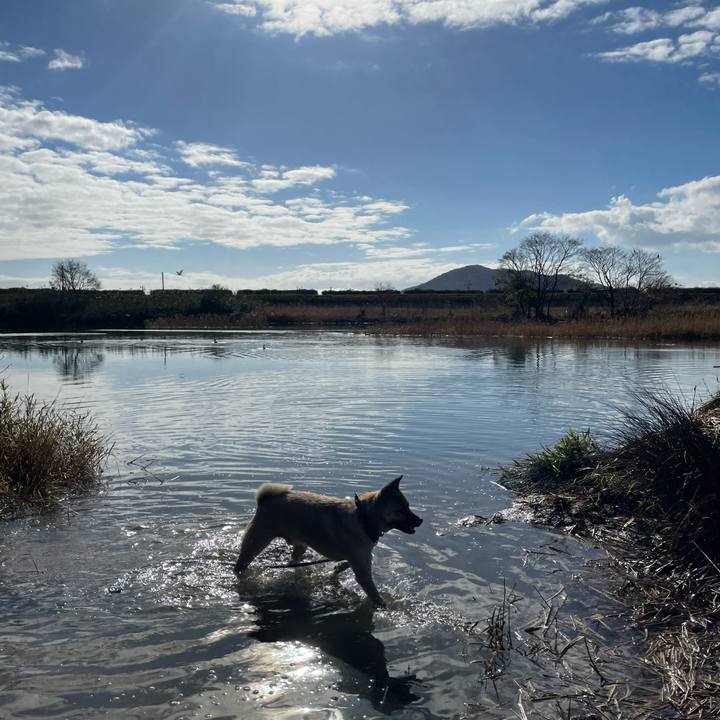 2bff8c25 f294 4223 8baf 0d50892bf3be 1671958001248