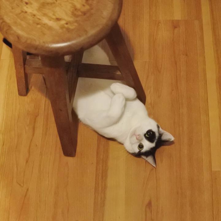 2bffa6c4 3bce 4d7b b135 9eadea612553 1518678626490