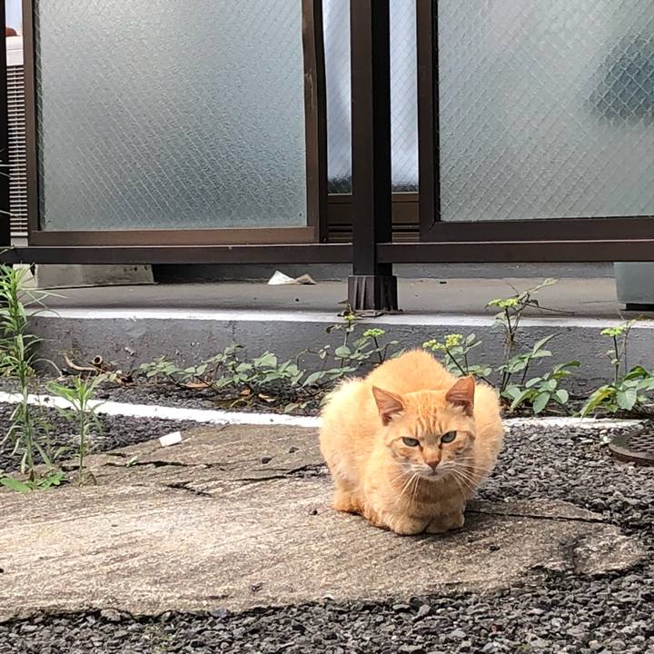 2bffc74c 8be3 4fe0 91fe 6dda1acc945f 1529584260662