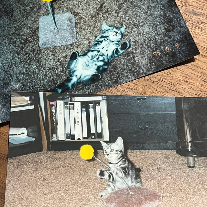 2bffcf9a f9aa 441d bdee 1781e893fcaa 1768209533950