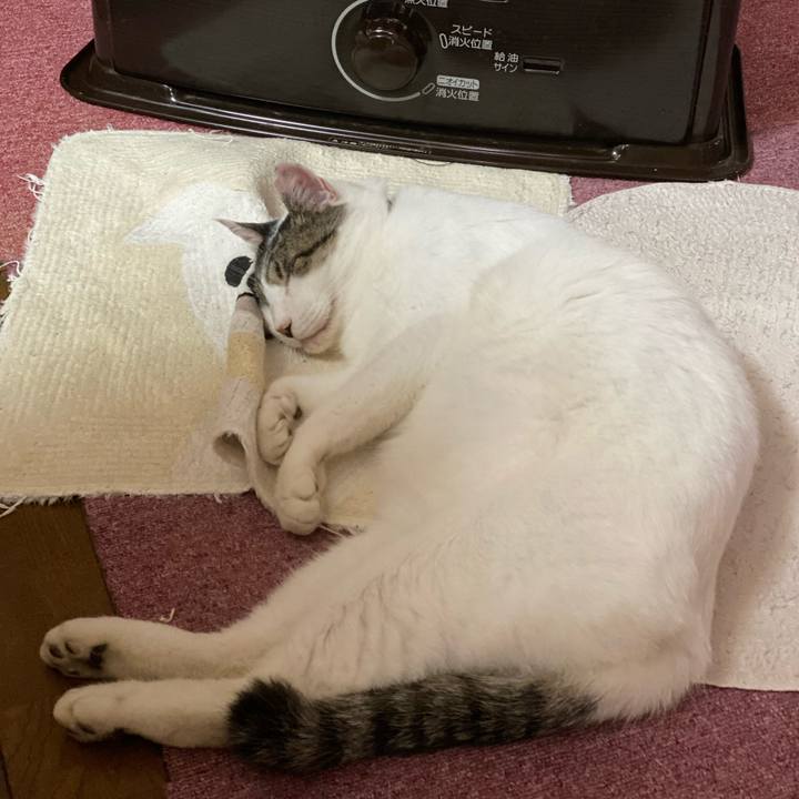 2c008a9e c38c 4869 8204 5fbfeb4e3486 1635554159065