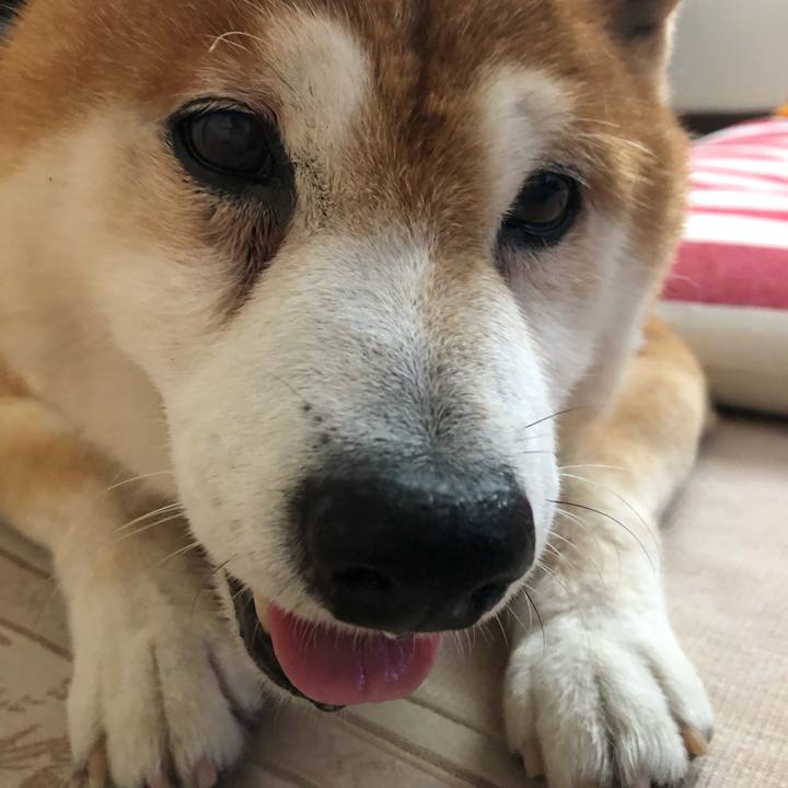 2c00aecd bc8f 4944 94a8 cea44c84a937 1561775851634