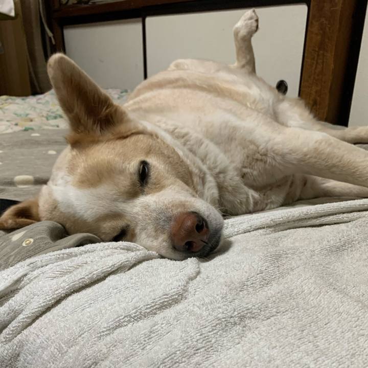 2c00b358 9fb0 4dac 8c0d bed1bd5903a7 1581861253002