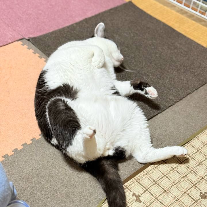 2c00c29e d55d 4601 8d69 2998c2073ded 1745549200271