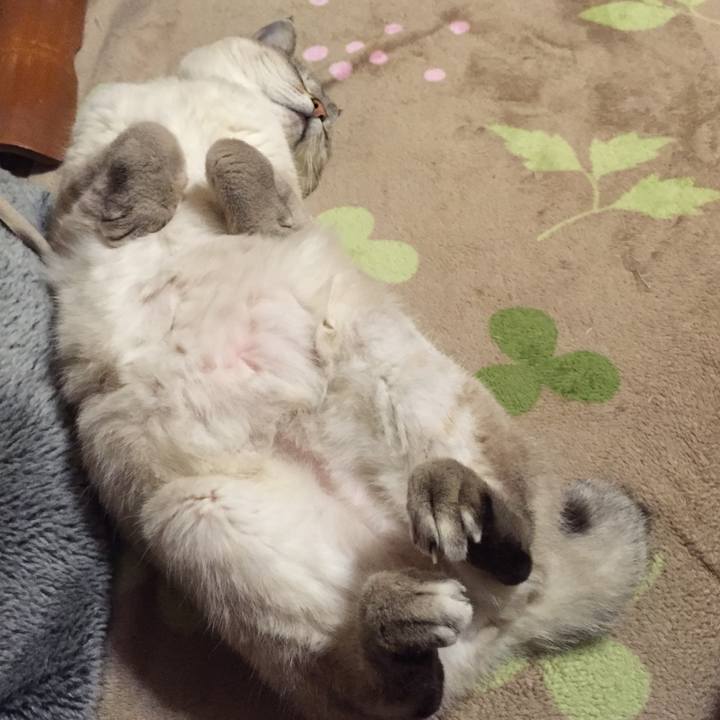 2c0102cb 1dc1 435b b00e 0813190eefa8 1548503666778