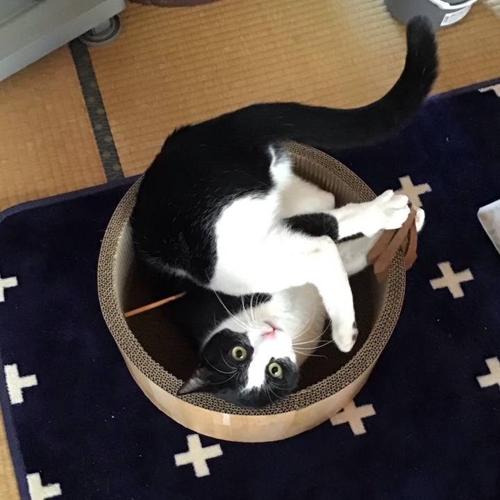 2c0104c0 f678 475f bd94 d82530206a66 1710154334985