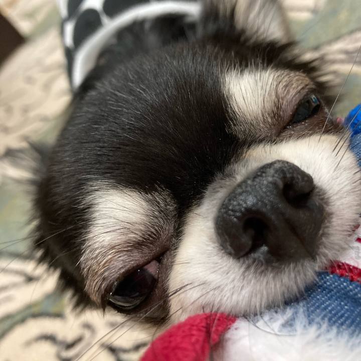 2c013129 715c 4c9f 8de8 8c8154cb8c99 1620135342489