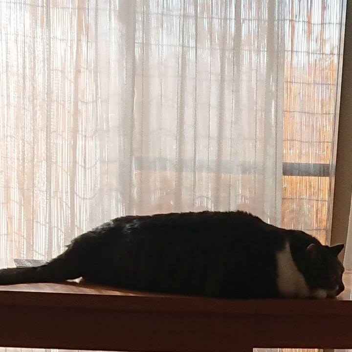 2c013ea9 20e1 45de bd4b c7df75e71326 1565484096571