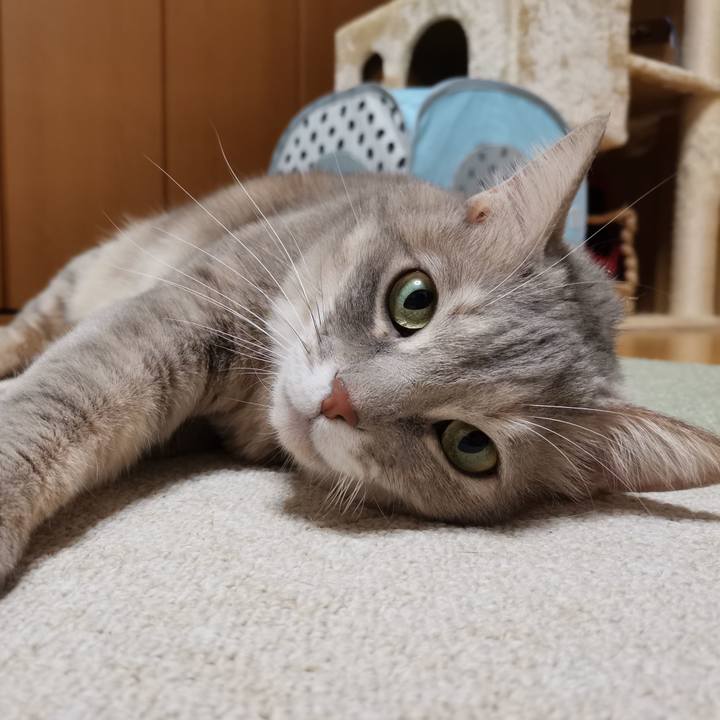 2c01b488 2c3a 4e82 ac04 3aa83acabc64 1608560117395