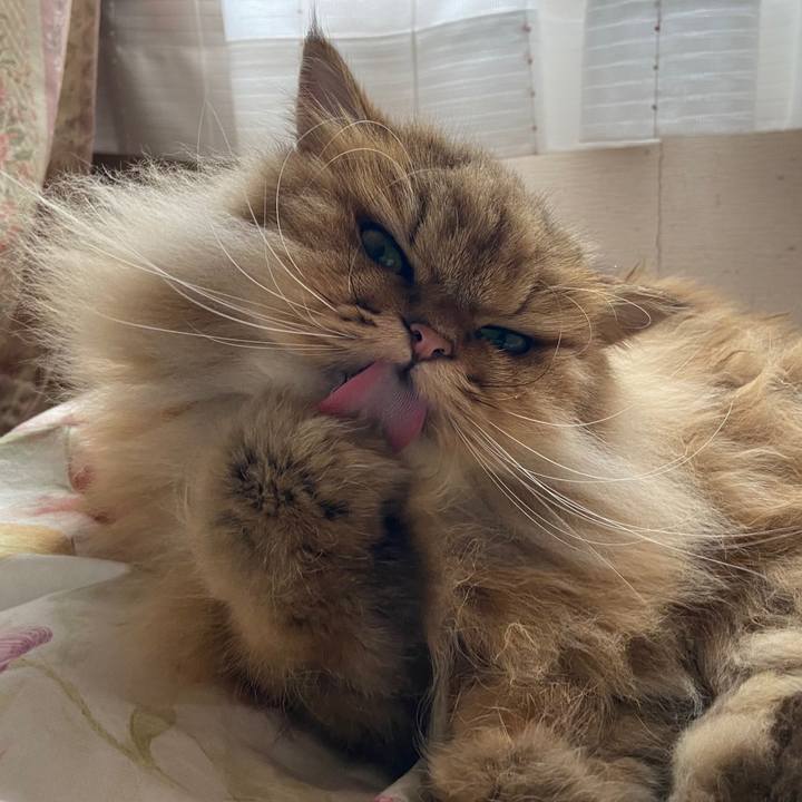 2c01caa5 5aae 489b 8f18 731e719a49de 1607647715809