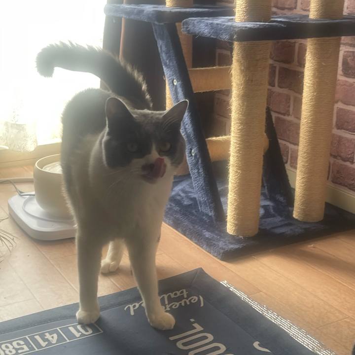 2c01e438 be4f 4fb5 99e7 ea8e257193a1 1707009426133