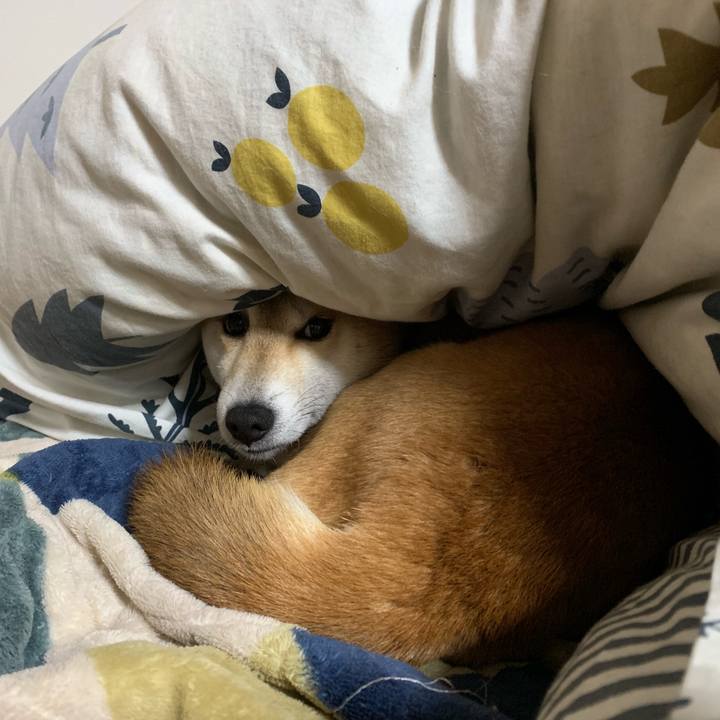 2c01fc2f 1892 4387 84c2 cb7349e32ab7 1571401945477