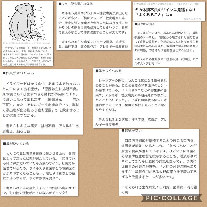 2c020251 0843 46a5 988b 89d127c7f319 1533743695777