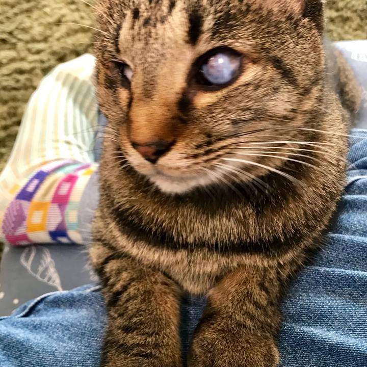 2c023723 523d 4768 93d3 21c8701fe8c3 1543998460804