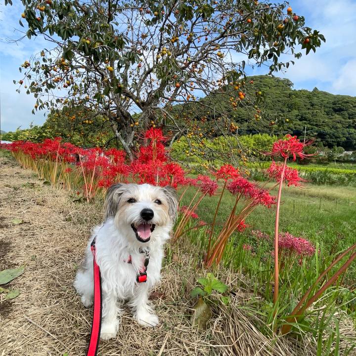 2c027c50 1b98 4acc b26f f2c78ceae2f2 1759400980721