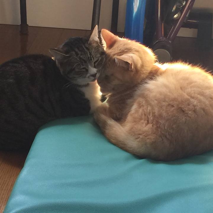 2c0284c7 66cc 4f43 a285 bf299bd33fd3 1554077885736