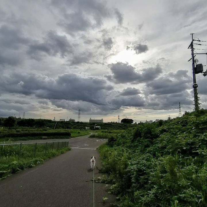 2c02a671 8167 4ab1 8b3f 27a7d035c6ef 1629017987599