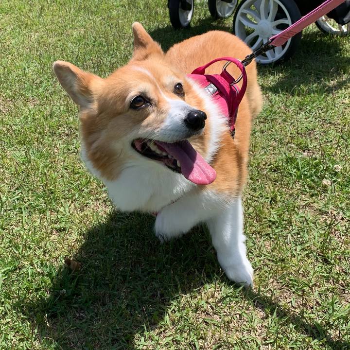 2c02c0ad 6aee 4bf8 9070 f92342f3d535 1715413735422