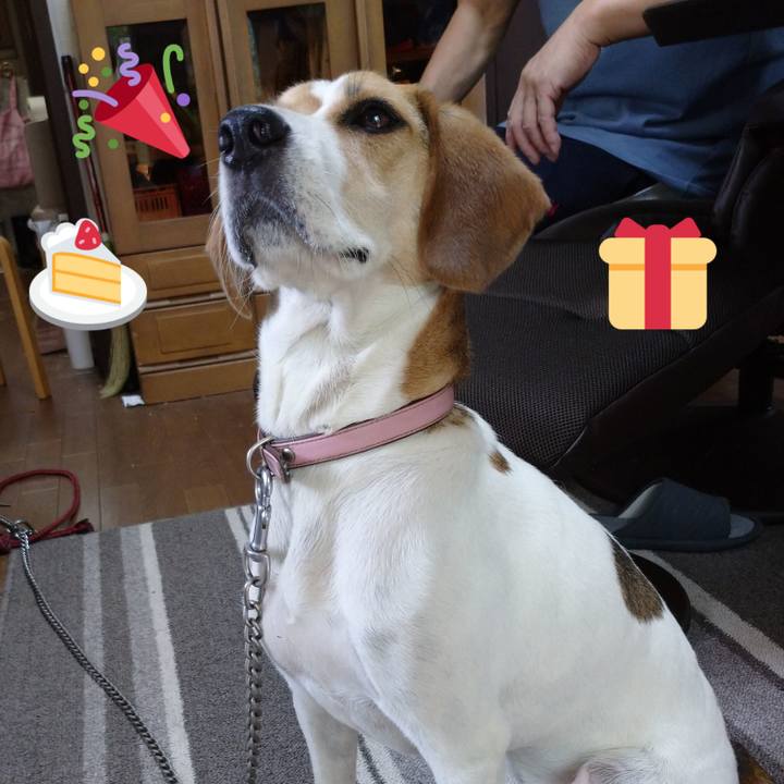 2c02e251 fa63 4f54 99d6 fe732c735b02 1597022757315