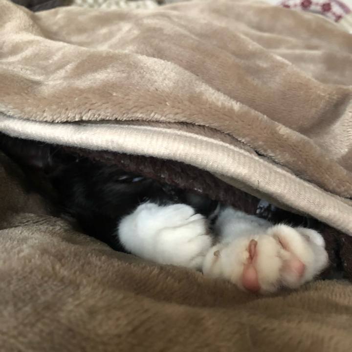 2c033c1f dcea 41fa a930 3c6e2982e8ee 1607738062868