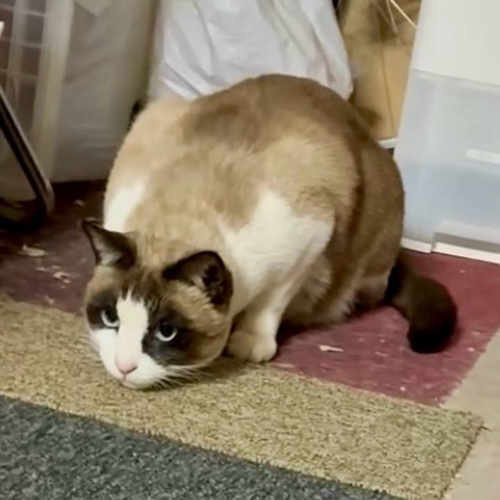 2c03657f 77dc 4db9 a2e9 d3e763c8e5ff 1770387108663