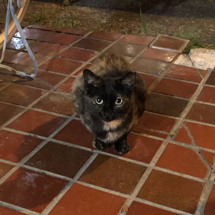 2c036782 f0e1 4fb9 af49 dad8f97ecef9 1546875264125