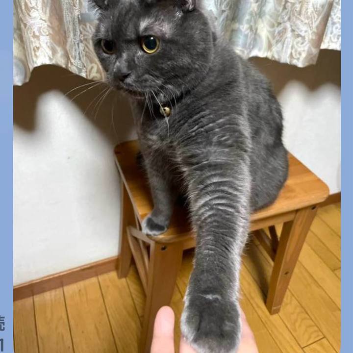 2c039620 bb07 4b0f a116 ef9abebf71b2 1768866715482