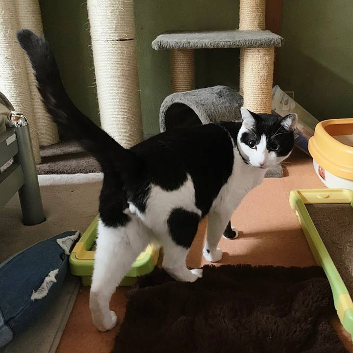 2c03a007 17d7 47d6 ac03 0bd25935eae5 1556506473829