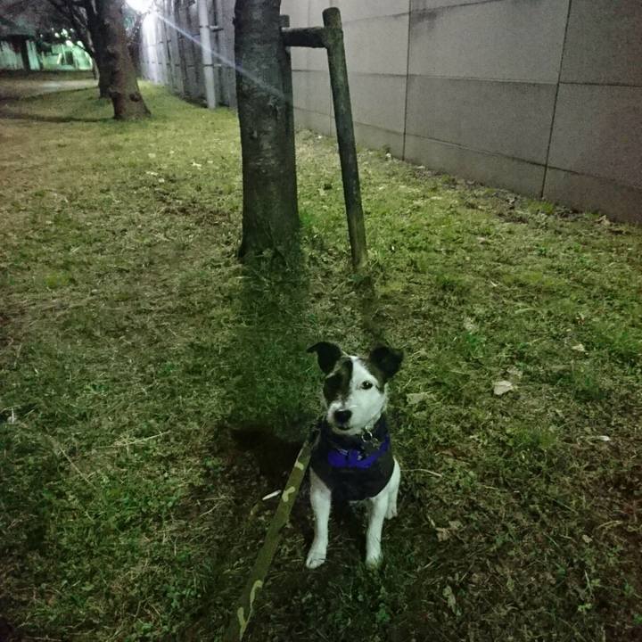 2c03c225 a29a 4ab9 8df4 02776351ccd2 1519037473170