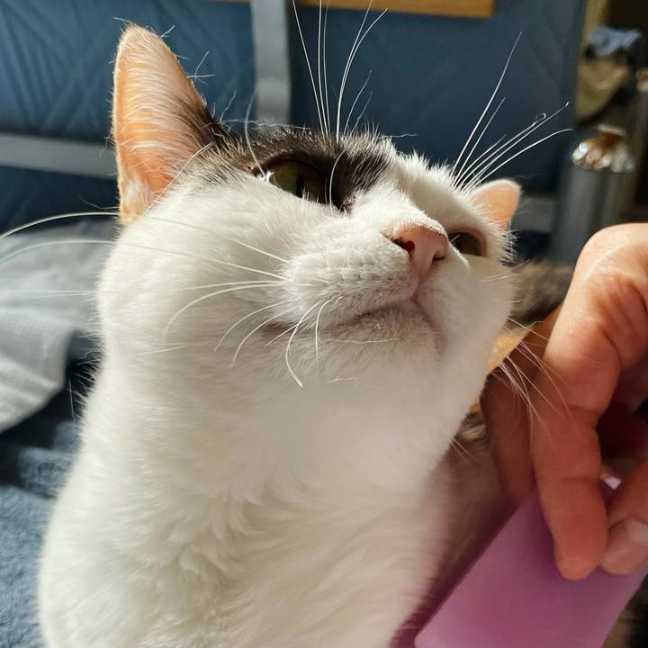 2c03d722 5c3b 4508 b4cb 99e11e549f3e 1629765412359