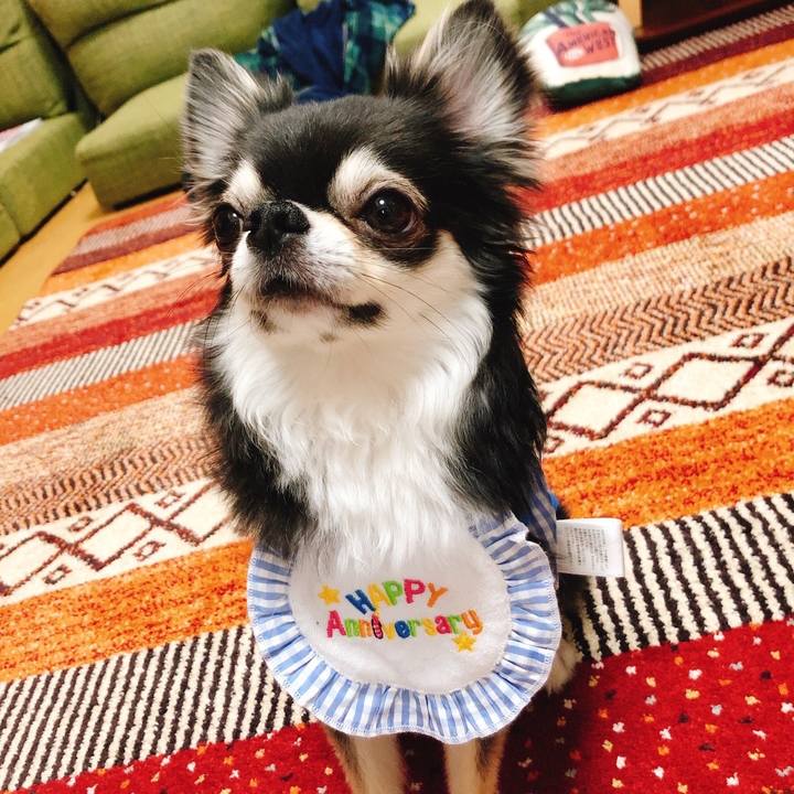 2c03f9c9 7a47 4c84 a8f5 968e60f3eb32 1675608677213