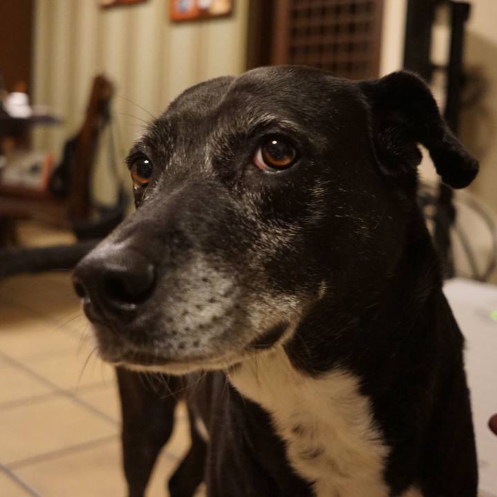 2c040ed8 2083 44db a5dd e2e0978452a1 1761736149841