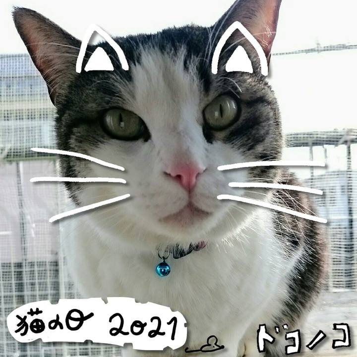 2c043dd7 1cd6 4331 9aac e3a57835ec98 1613967698264
