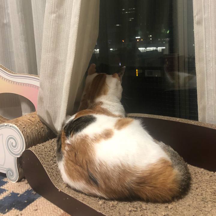 2c047604 f430 4008 96a2 4c253ff27981 1599833399358