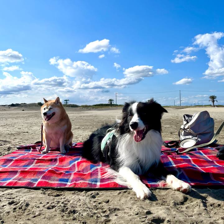 2c0483b8 5439 4024 b7f5 ac7f6eab8c63 1699019585751