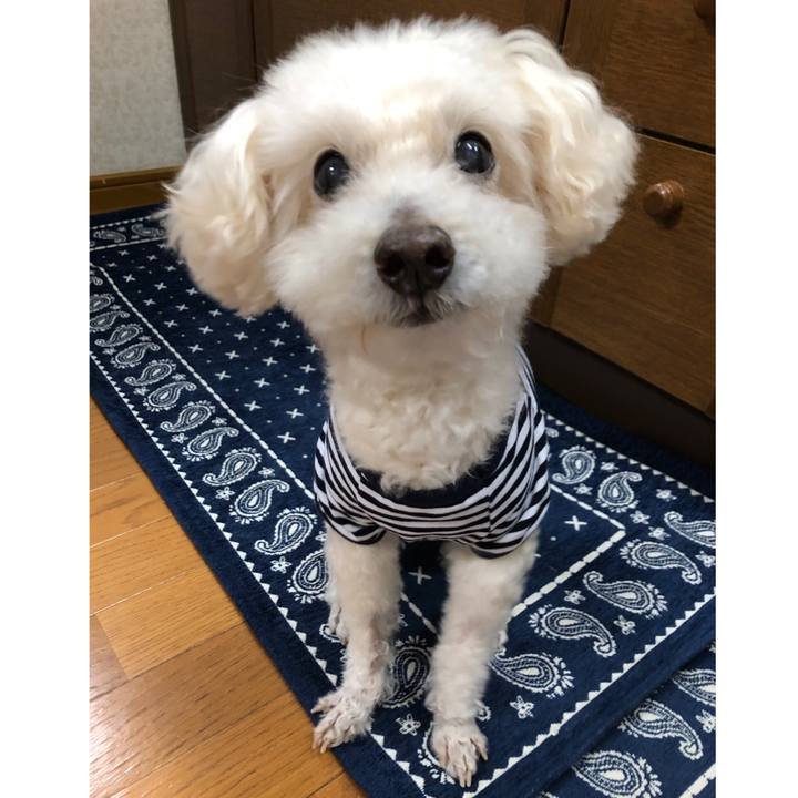 2c049968 cfac 435e 97d7 8a9f82e9db65 1555425321089