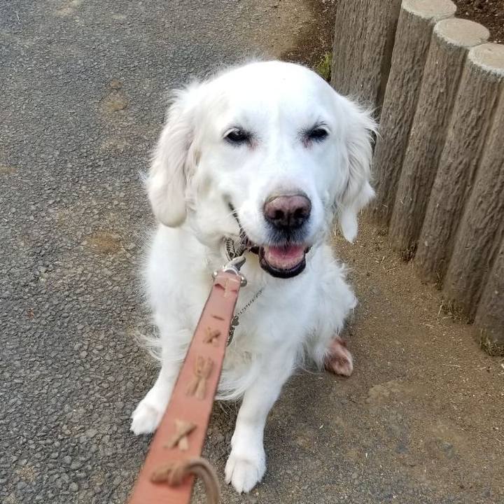 2c04e826 164f 479c a94f 4aa437f928f7 1758607750065