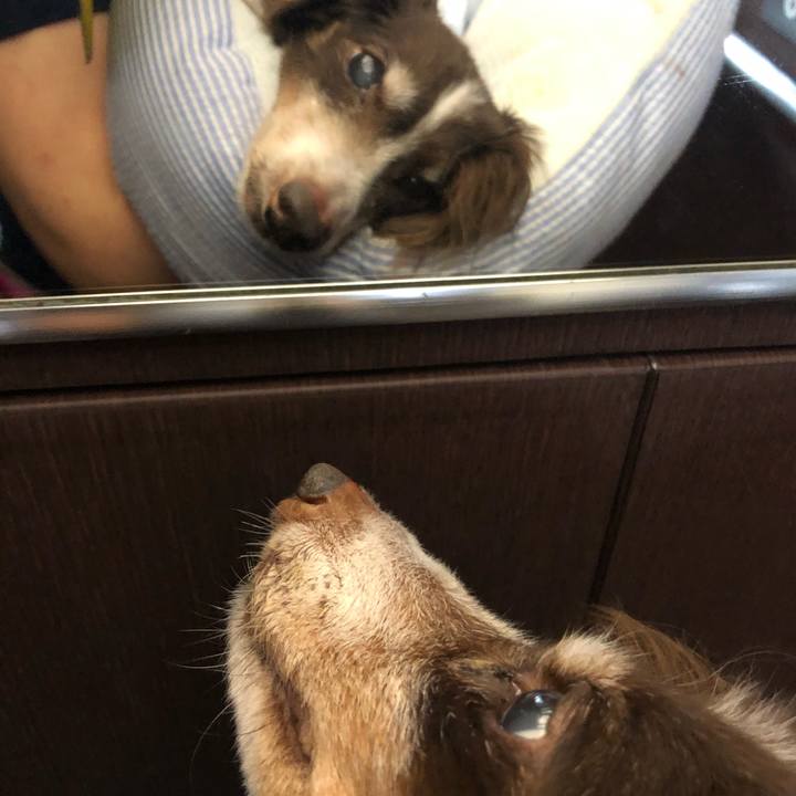 2c04eb2b a20f 45ae 9b8b b8ab161537e0 1628815028194