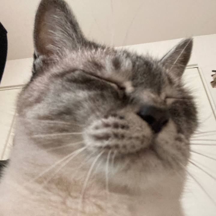 2c050337 92c8 4860 8e79 e0d3fb12edfe 1654730930855