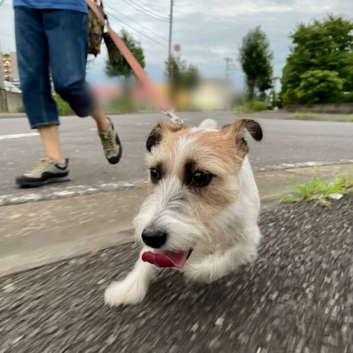 2c052047 4b2d 4da3 b7ae 72bbbefbe52a 1661340607295