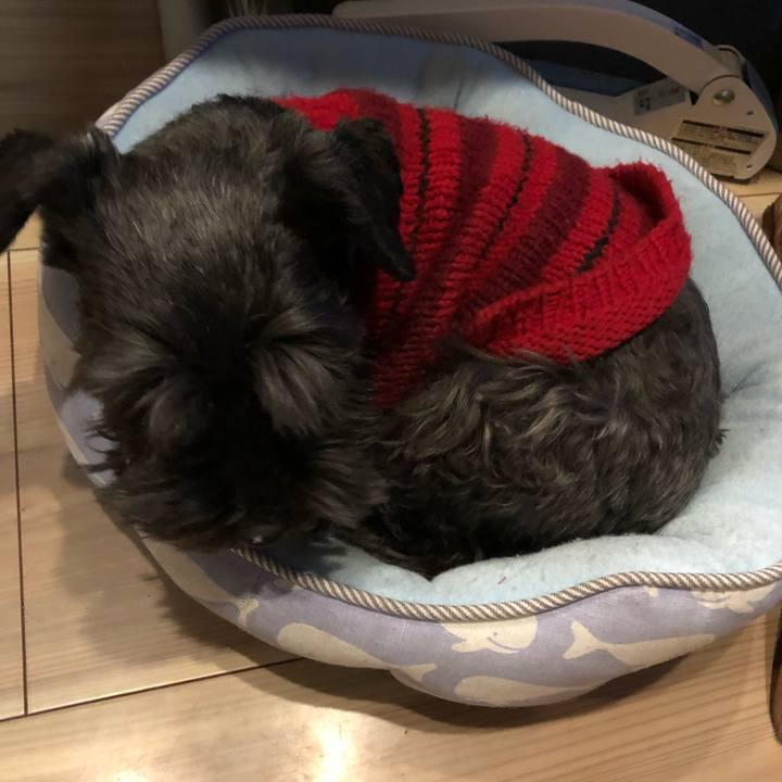 2c0529ad 2716 41c0 b39a 94043a1a145c 1547591749853