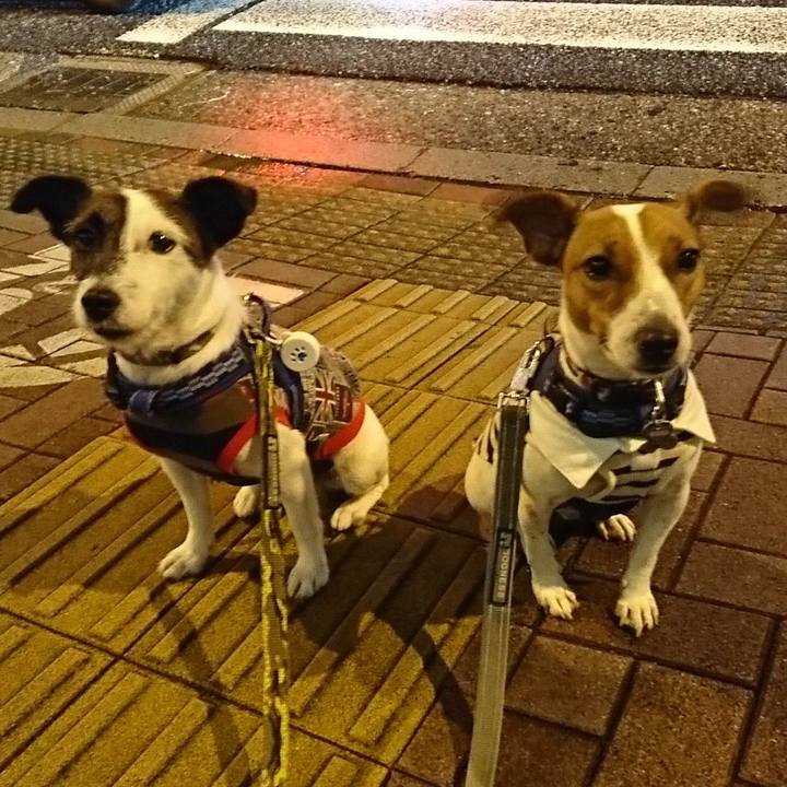 2c053b77 b7c5 46a1 bd0b 7f086f4a3045 1537537701411