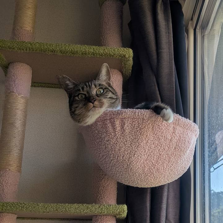 2c054aad 59cc 4c6b 91f0 8987e24f7879 1753315689248