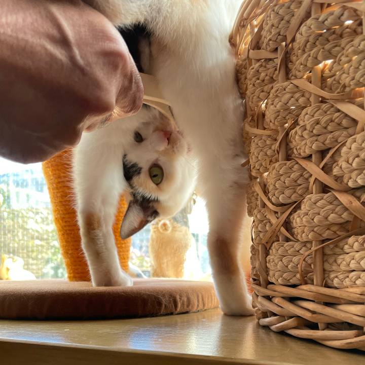 2c05665f 06ff 44e3 a348 c86131575d8b 1735525868400